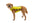 Trail Runner™ Dog Running Vest (Ruffwear) - SnowPaw Store - Ruffwear - Dog Harness