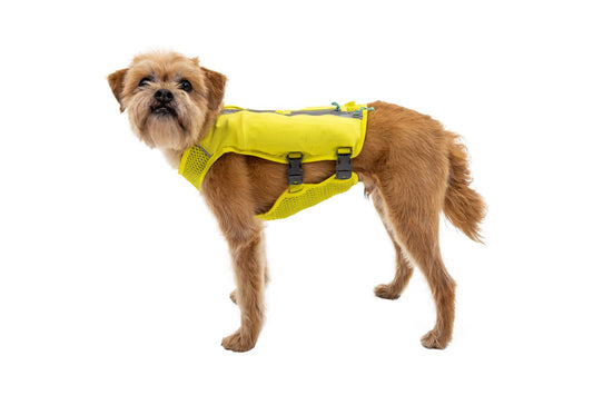 Trail Runner™ Dog Running Vest (Ruffwear) - SnowPaw Store - Ruffwear - Dog Harness