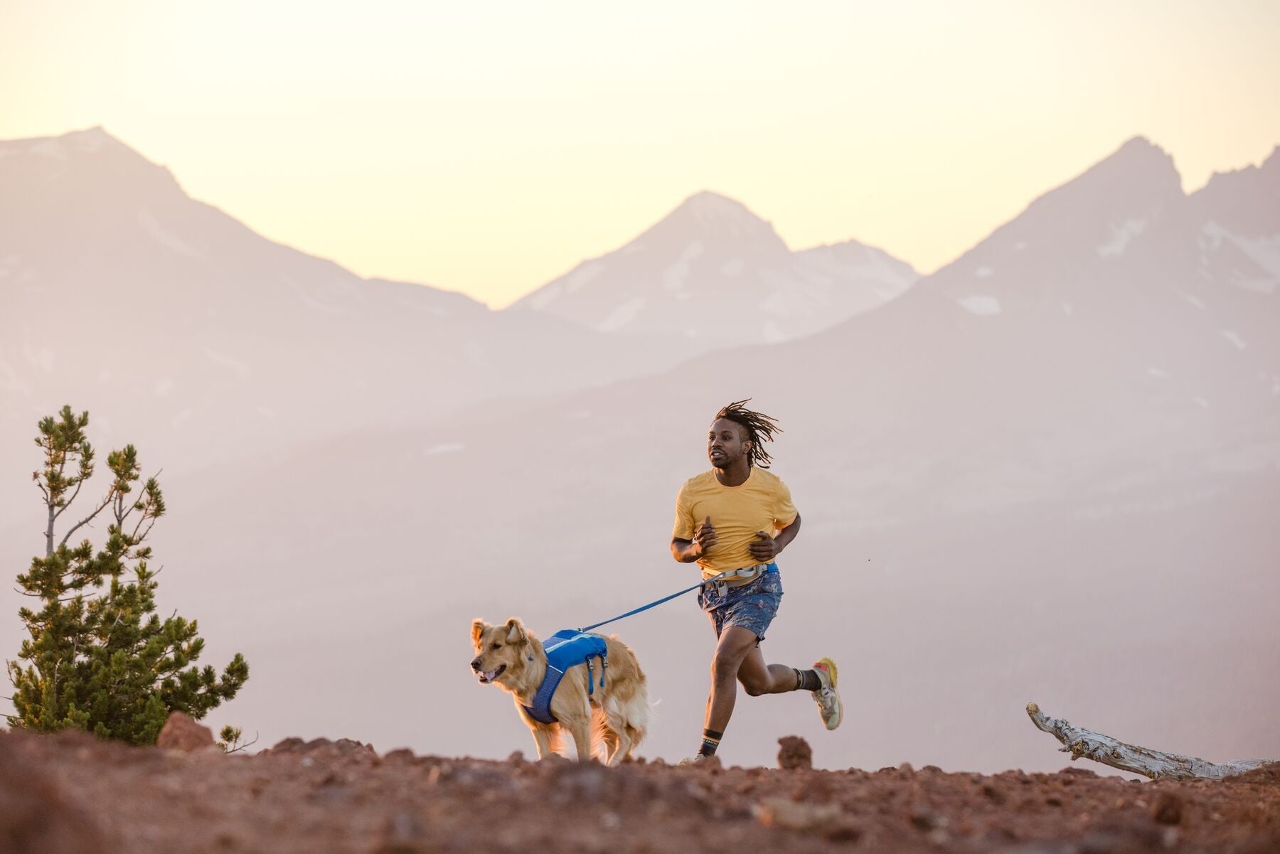 Trail Runner™ Dog Running Vest (Ruffwear) - SnowPaw Store - Ruffwear - Dog Harness