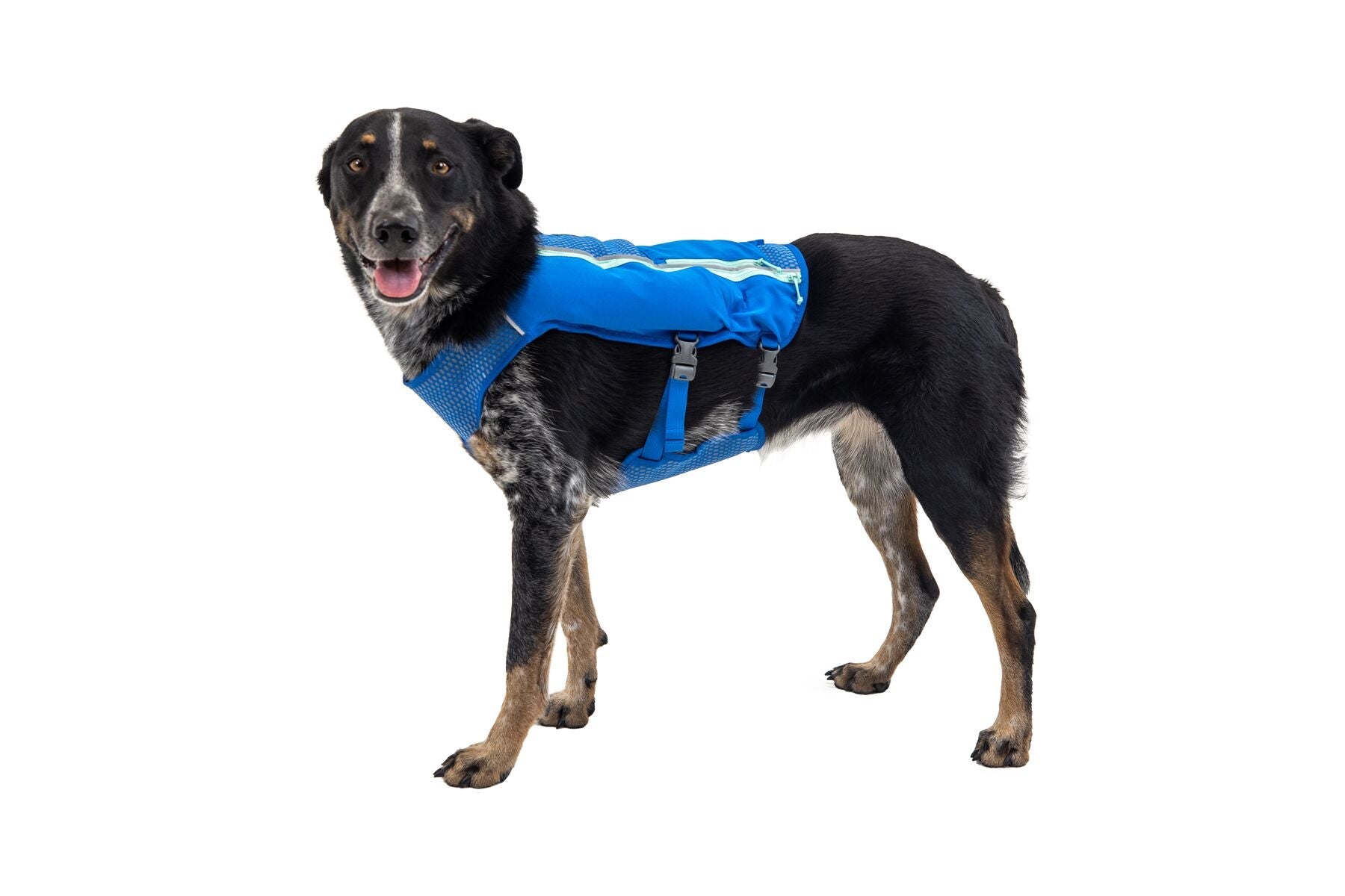 Trail Runner™ Dog Running Vest (Ruffwear) - SnowPaw Store - Ruffwear - Dog Harness