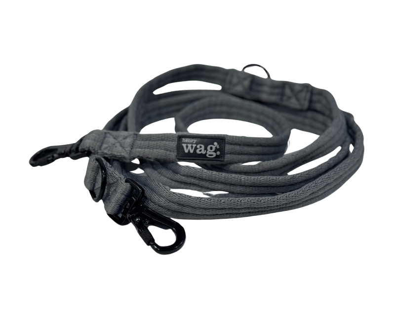 Training Lead (Henry Wag) - SnowPaw Store - Henry Wag - Dog Lead