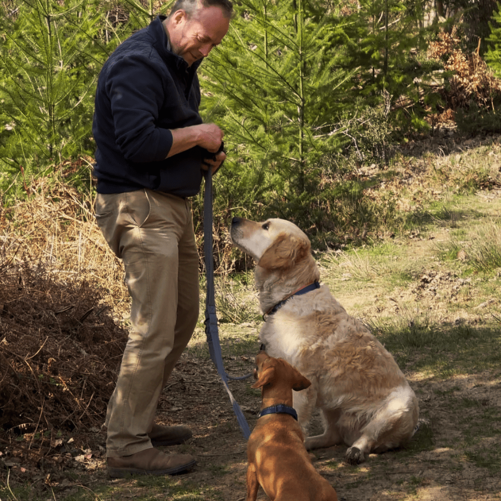 Training Lead (Henry Wag) - SnowPaw Store - Henry Wag - Dog Lead