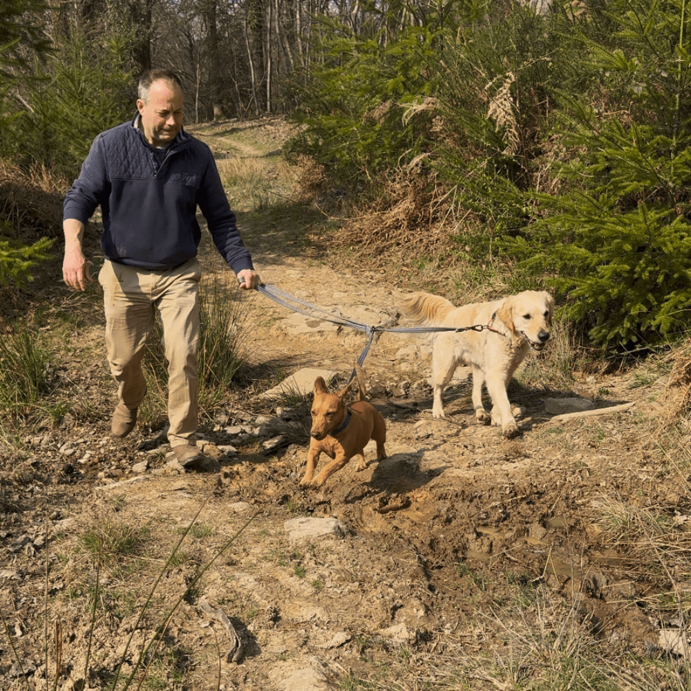 Training Lead (Henry Wag) - SnowPaw Store - Henry Wag - Dog Lead