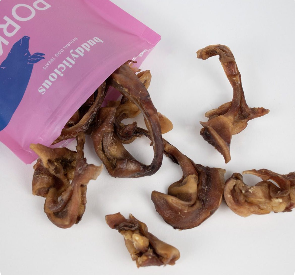 Treat Gift Tin (Buddylicious) - SnowPaw Store - Buddylicious - Dog Food