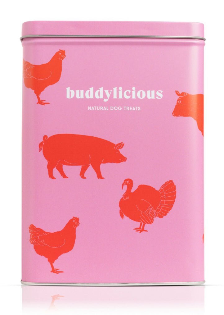 Treat Gift Tin (Buddylicious) - SnowPaw Store - Buddylicious - Dog Food