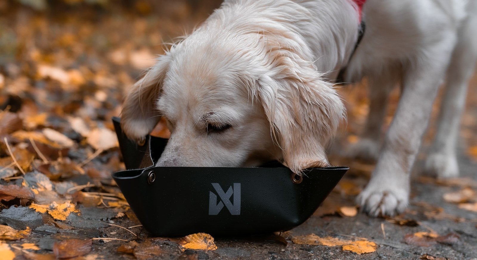 Trekking Bowl (Non - Stop Dogwear) - SnowPaw Store - Non - Stop Dogwear - Active Dog Gear