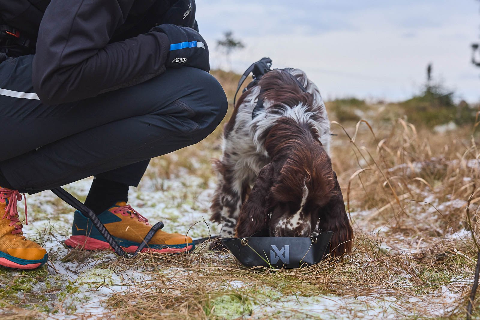 Trekking Bowl (Non - Stop Dogwear) - SnowPaw Store - Non - Stop Dogwear - Active Dog Gear