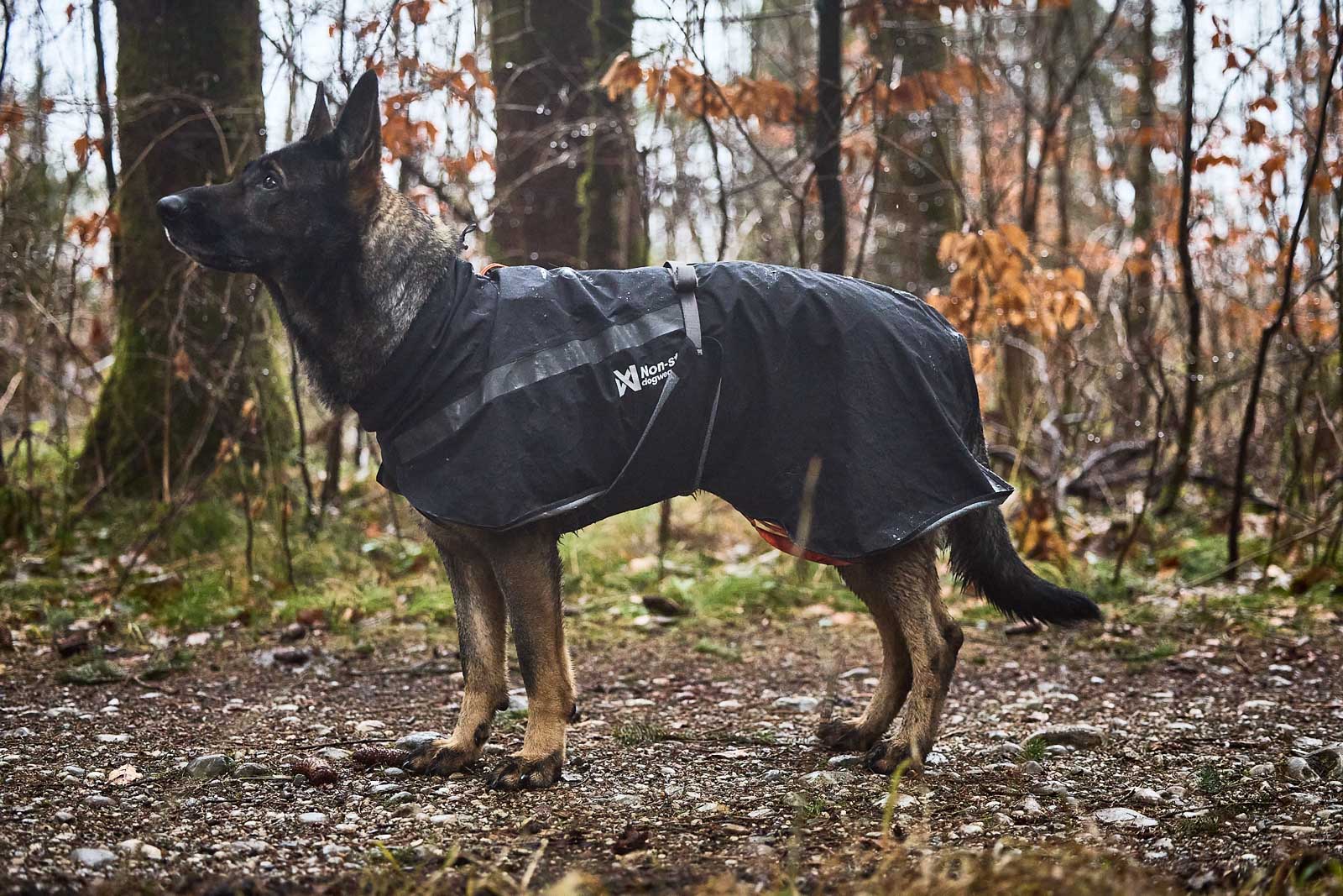 Trekking Dog Raincoat (Non-Stop Dogwear) - SnowPaw Store - Non-Stop Dogwear - Dog Coats