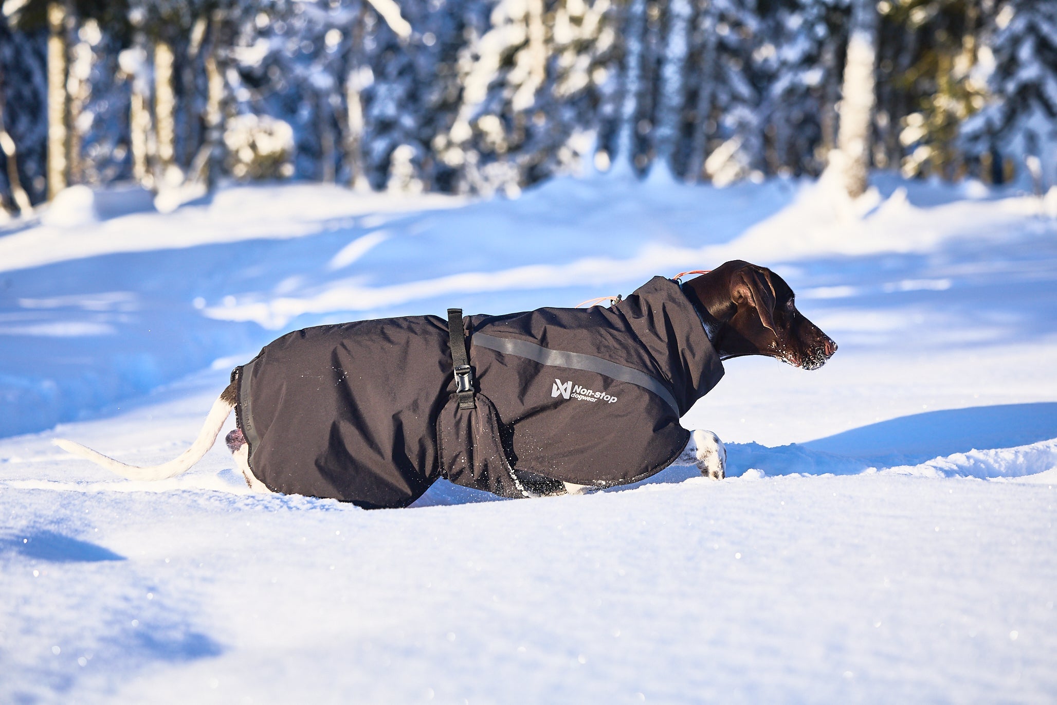 Trekking Insulated Dog Jacket (Non - Stop Dogwear) - SnowPaw Store - Non - Stop Dogwear - Dog Coats