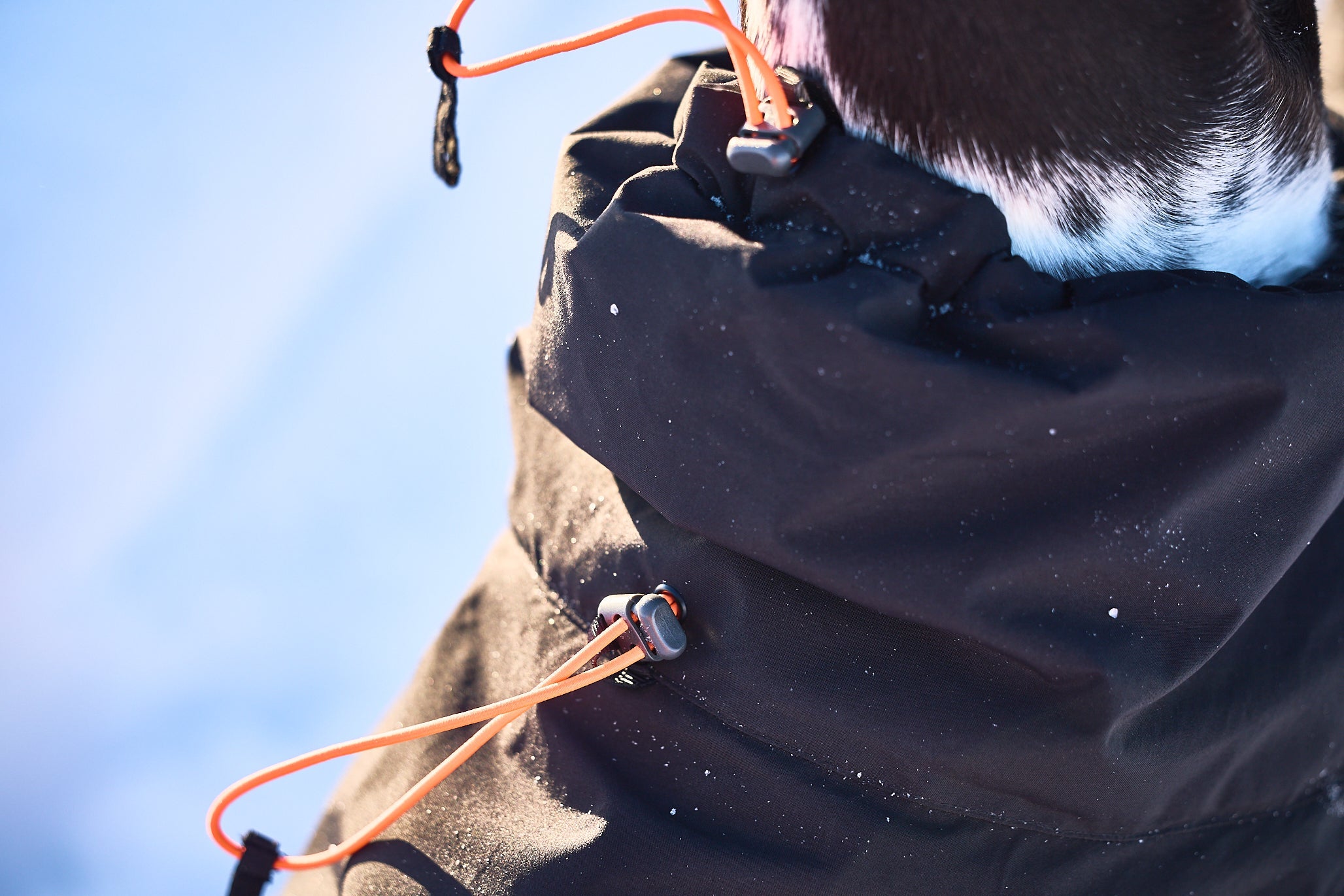 Trekking Insulated Dog Jacket (Non - Stop Dogwear) - SnowPaw Store - Non - Stop Dogwear - Dog Coats