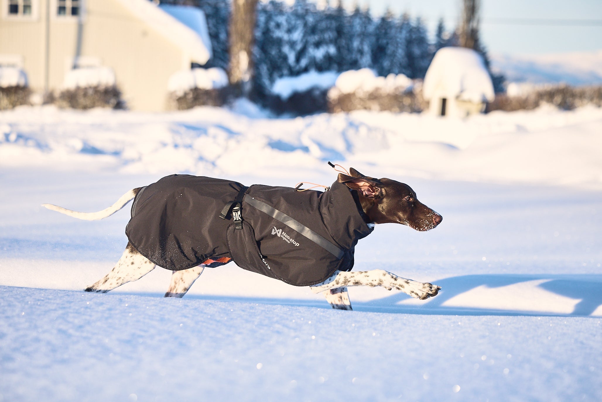 Trekking Insulated Dog Jacket (Non - Stop Dogwear) - SnowPaw Store - Non - Stop Dogwear - Dog Coats