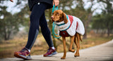 Trekking Fleece Dog Jacket (Non-Stop Dogwear)