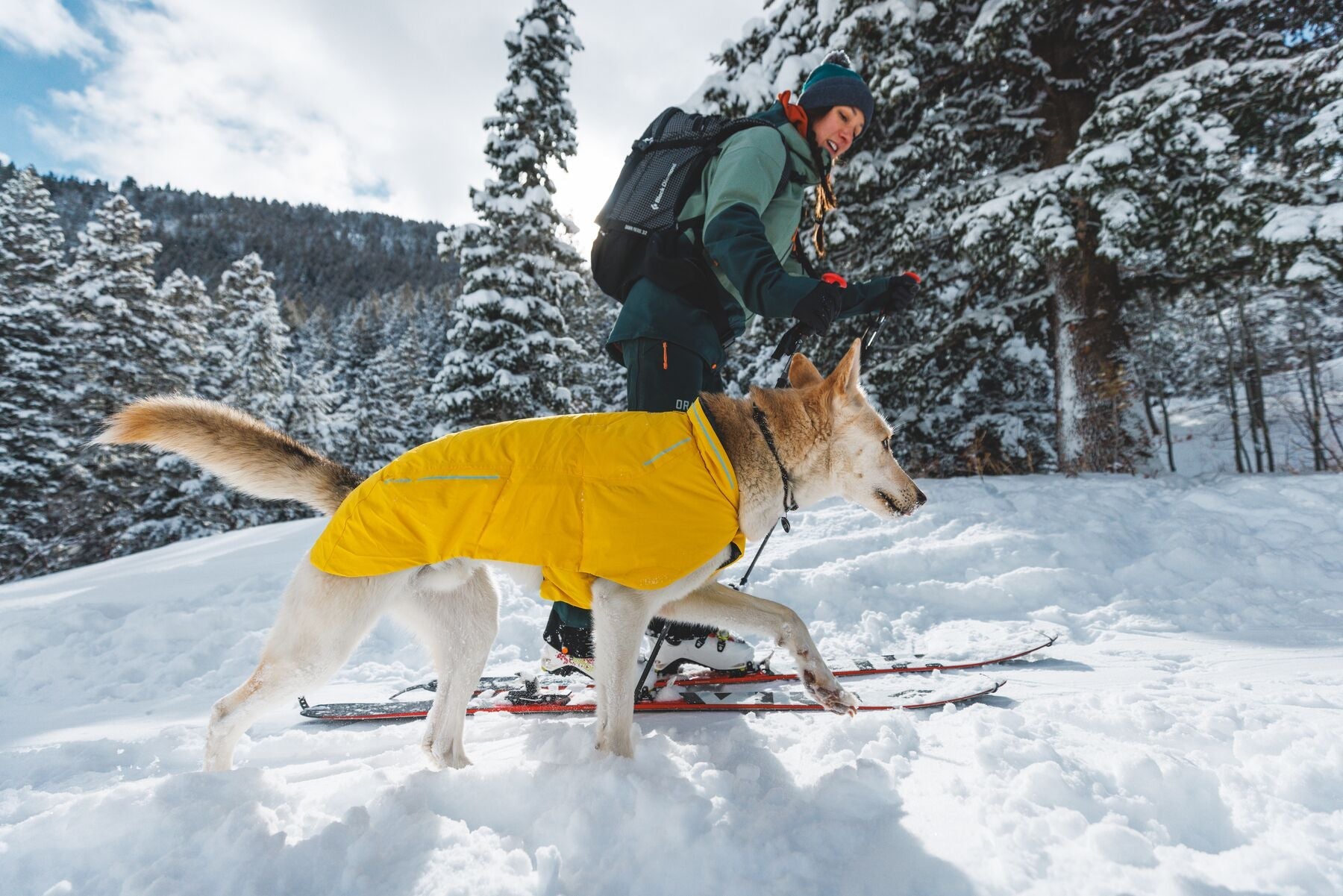 Vert™ Jacket (Ruffwear) - SnowPaw Store - Ruffwear - Dog Coats