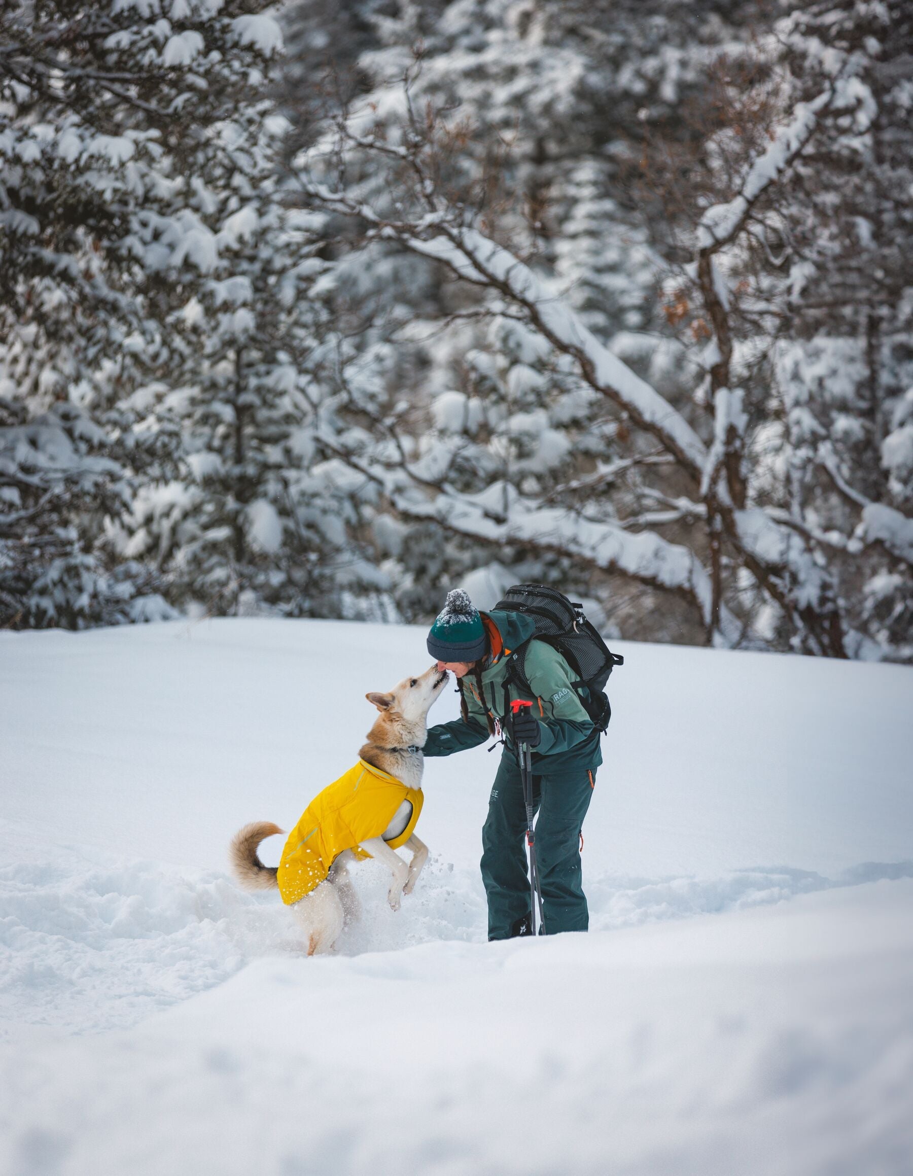 Vert™ Jacket (Ruffwear) - SnowPaw Store - Ruffwear - Dog Coats