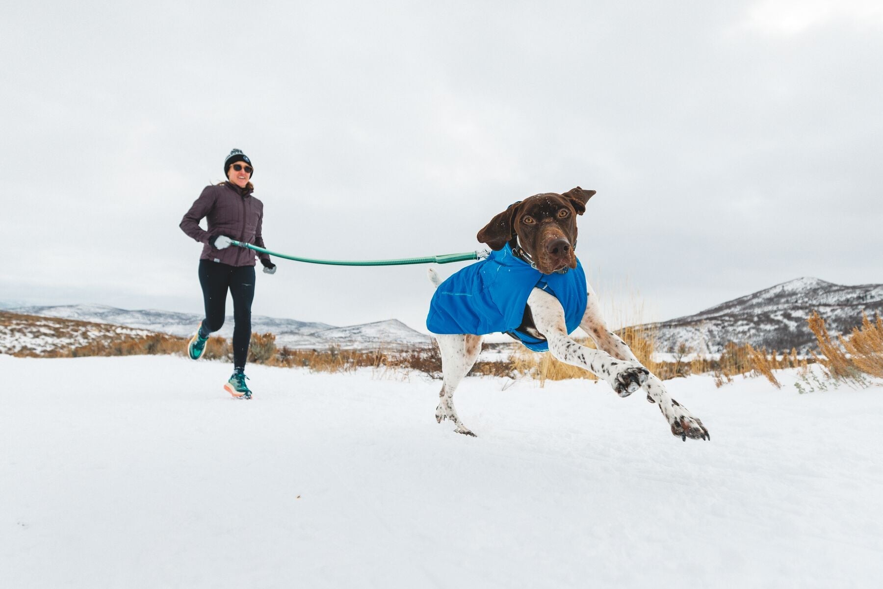 Vert™ Jacket (Ruffwear) - SnowPaw Store - Ruffwear - Dog Coats