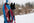 Wakev Team Line Set (Lumac) - SnowPaw Store - Lumac - Sled Dog Equipment