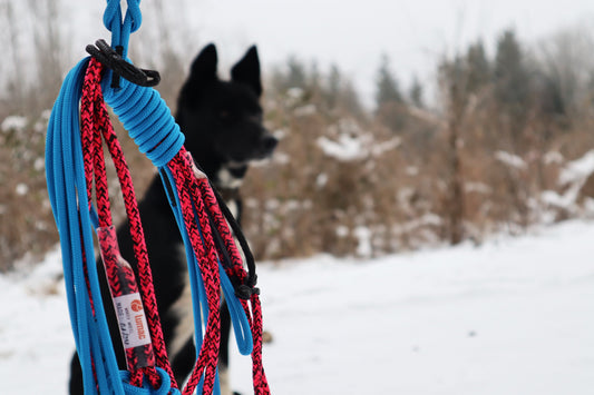 Wakev Dog Team Line Set (Lumac) - SnowPaw Store - Lumac - Sled Dog Equipment