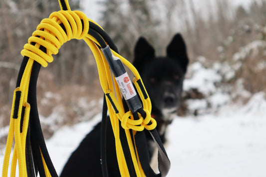 Wakev Dog Team Line Set (Lumac) - SnowPaw Store - Lumac - Sled Dog Equipment