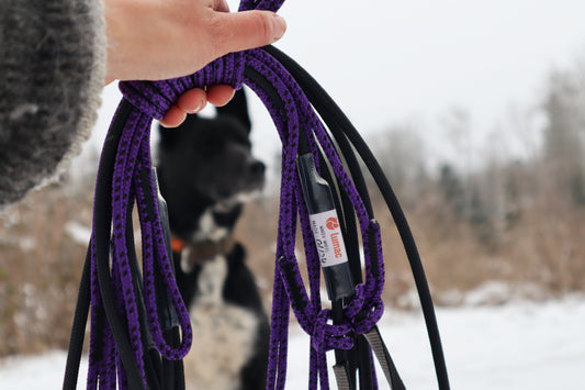 Wakev Dog Team Line Set (Lumac) - SnowPaw Store - Lumac - Sled Dog Equipment