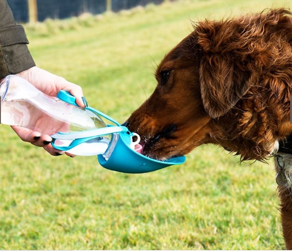 Water Bottle with Leaf Bowl (Henry Wag) - SnowPaw Store - Henry Wag - Active Dog Gear