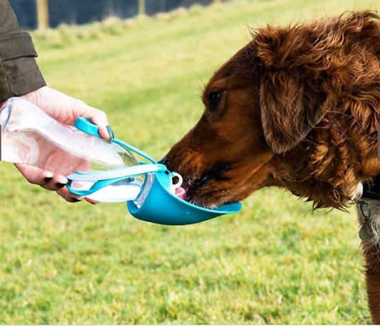 Water Bottle with Leaf Bowl (Henry Wag) - SnowPaw Store - Henry Wag - Active Dog Gear