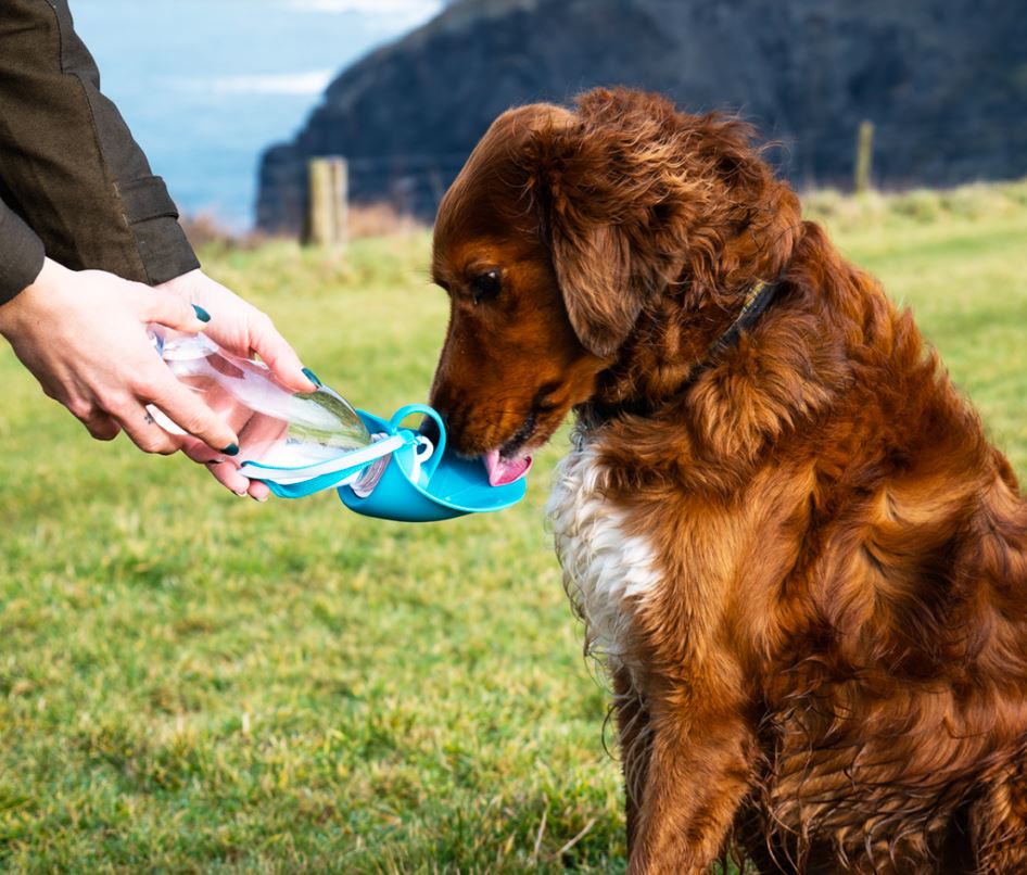 Water Bottle with Leaf Bowl (Henry Wag) - SnowPaw Store - Henry Wag - Active Dog Gear