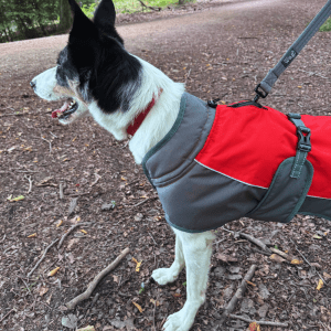 Waterproof Dog Coat (Henry Wag) - SnowPaw Store - Henry Wag - Dog Coats