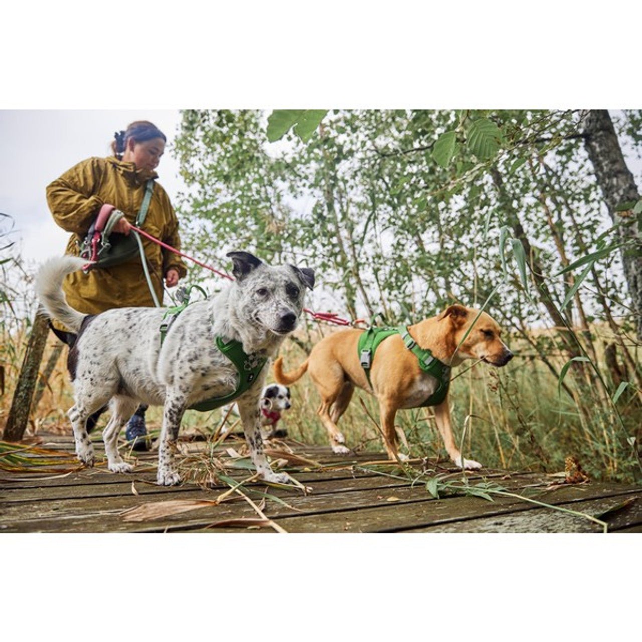 Weekend Warrior Harness II ECO (Hurtta) - SnowPaw Store - Hurtta - Dog Harness