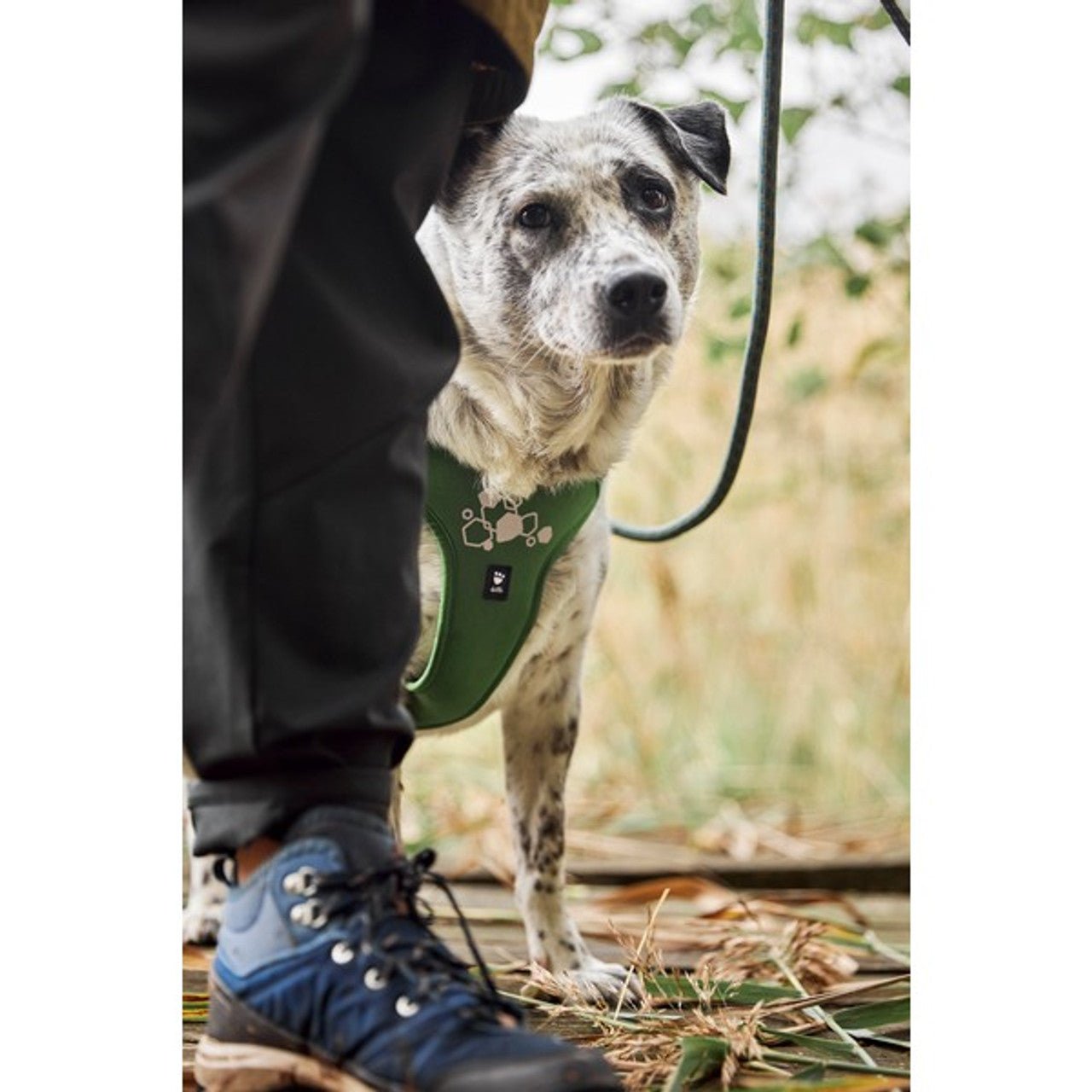 Weekend Warrior Harness II ECO (Hurtta) - SnowPaw Store - Hurtta - Dog Harness