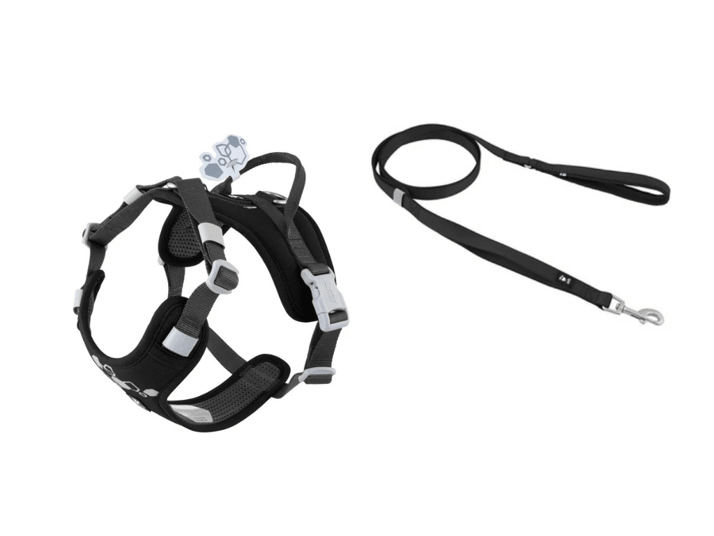 Weekend Warrior Harness & Lead (Hurtta) - SnowPaw Store - Hurtta - Dog Harness