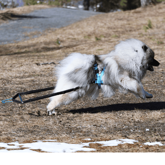 Weight Pulling Kit (VIP Dogwear) - SnowPaw Store - VIP Dogwear - Sled Dog Equipment