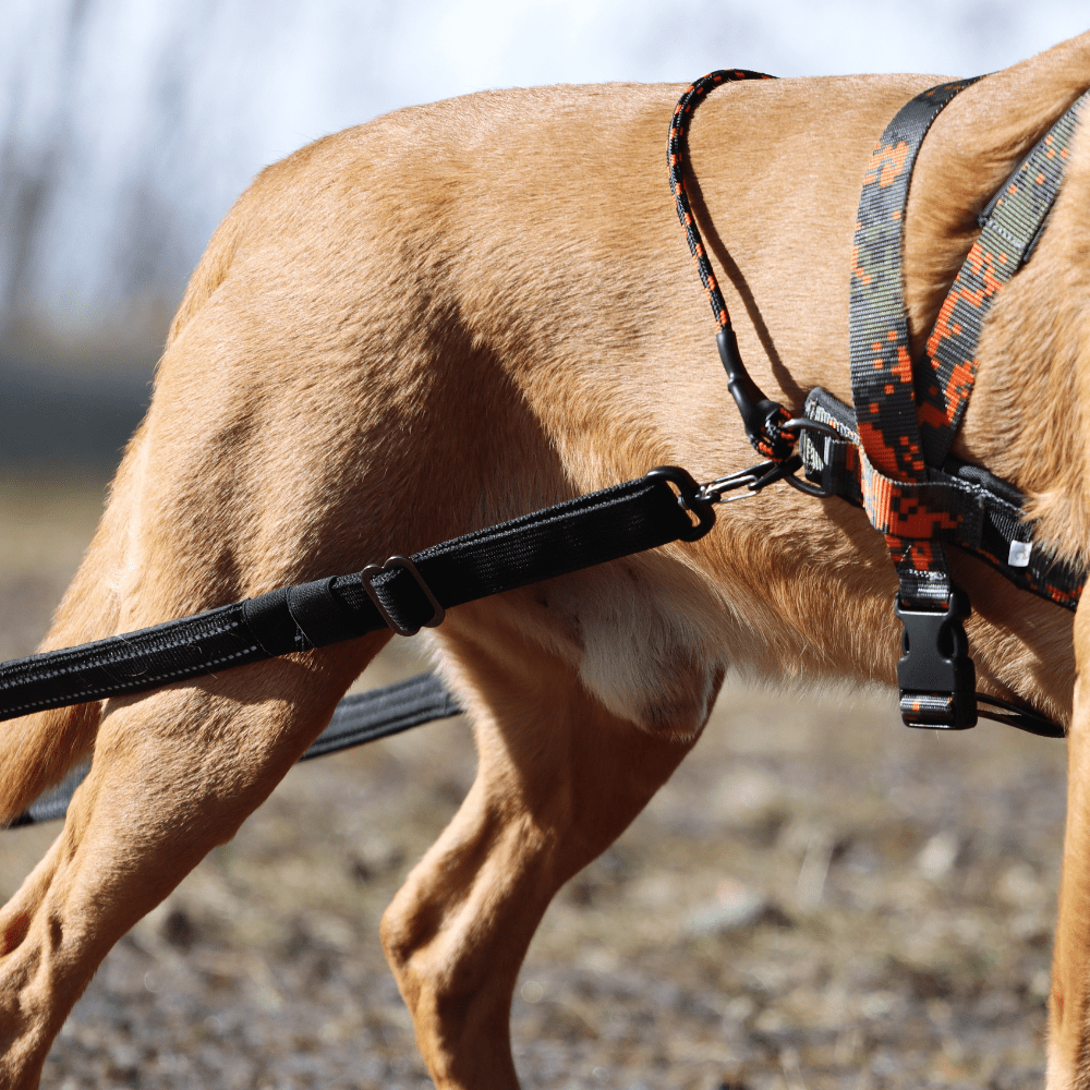 Weight Pulling Kit (VIP Dogwear) - SnowPaw Store - VIP Dogwear - Sled Dog Equipment