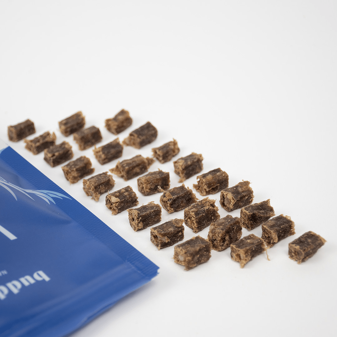 Wild Deer Cubes 100g (Buddylicious)t - SnowPaw Store - Buddylicious - Dog Food