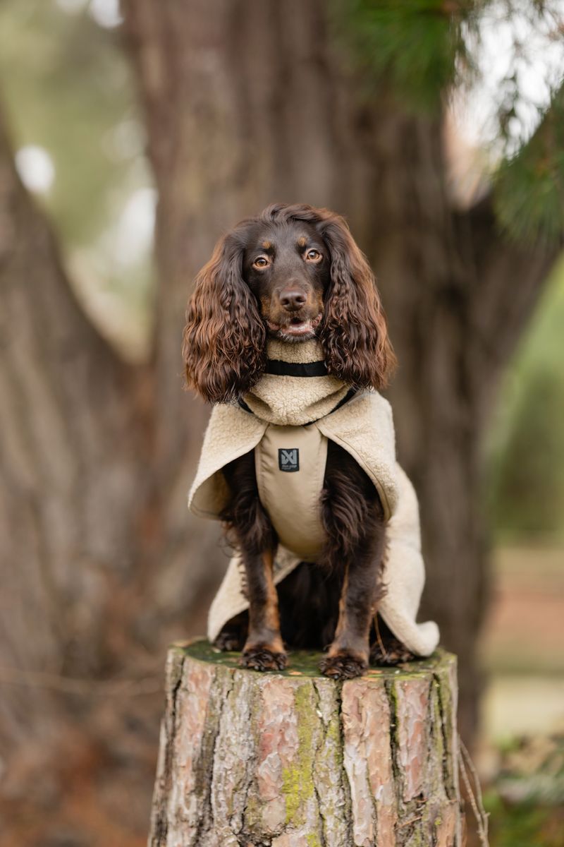 Wool Dog Jacket Dark Teal(Non - Stop Dogwear) - SnowPaw Store - Non - Stop Dogwear - Dog Coats