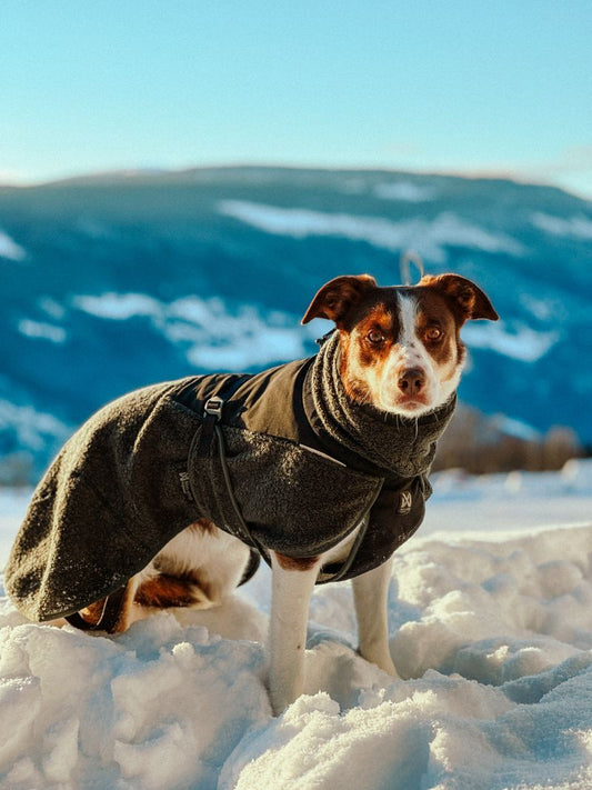 Wool Dog Jacket Dark Teal(Non - Stop Dogwear) - SnowPaw Store - Non - Stop Dogwear - Dog Coats