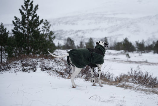 Wool Dog Jacket Dark Teal(Non - Stop Dogwear) - SnowPaw Store - Non - Stop Dogwear - Dog Coats