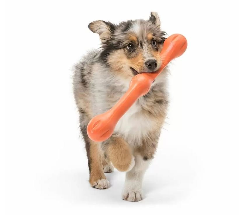 Zogoflex Echo - Zwig (West Paw) - SnowPaw Store - West Paw - Dog Toys