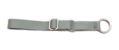Semi-Slip Dog Collar - Silver