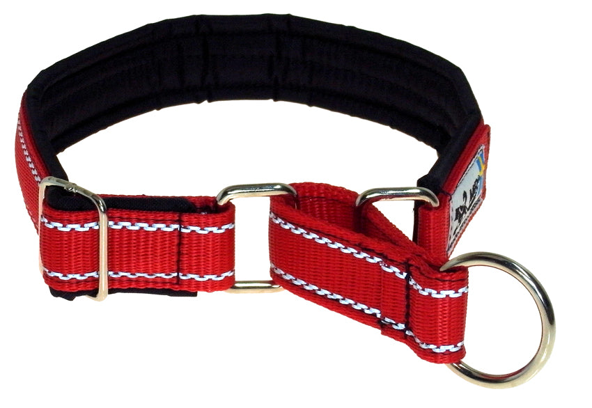 Red Dog Collar with Reflective Stitching