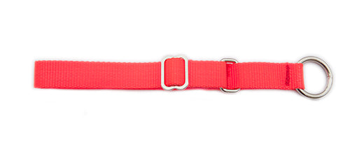 Semi-Slip Dog Collar - Fluorescent Orange