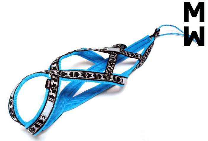 Limited Edition RUN Long Dog Harness - Alpine Blue