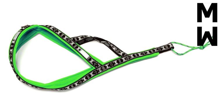Limited Edition RUN Long Dog Harness - Green