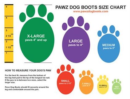 Pawz Dog Boots - Measuring Guide