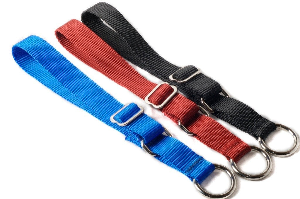 Semi-Slip Dog Collar - Red, Blue and Black