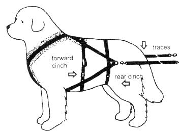 Carting Dog Harness - side diagram