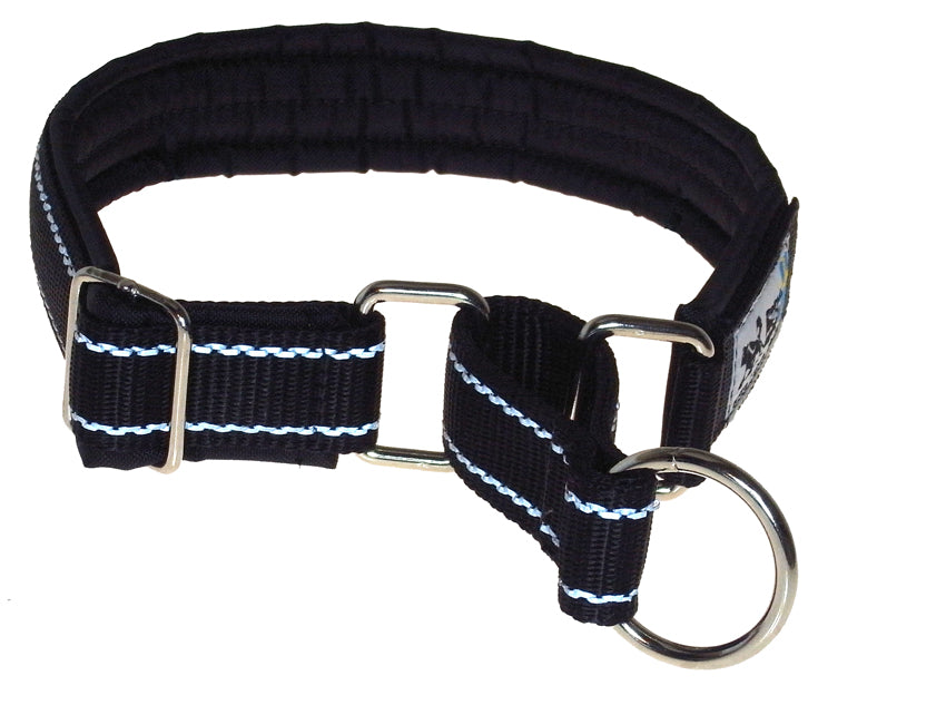 Black Dog Collar with Reflective Stitching
