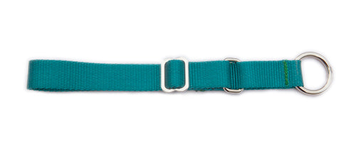 Semi-Slip Dog Collar - Teal