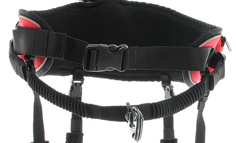 Comfort Trek Belt (i-Dog)