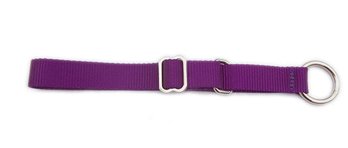 Alaskan Semi Slip Dog Collar