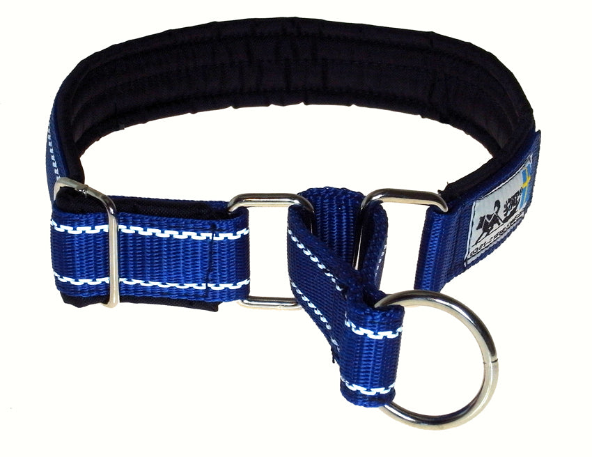 Blue Dog Collar with Reflective Stitching